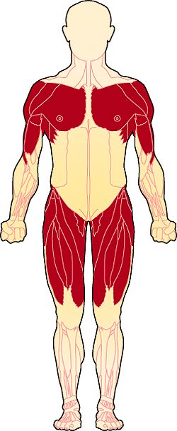 Limb-Girdle Muscular Dystrophy (LGMD)