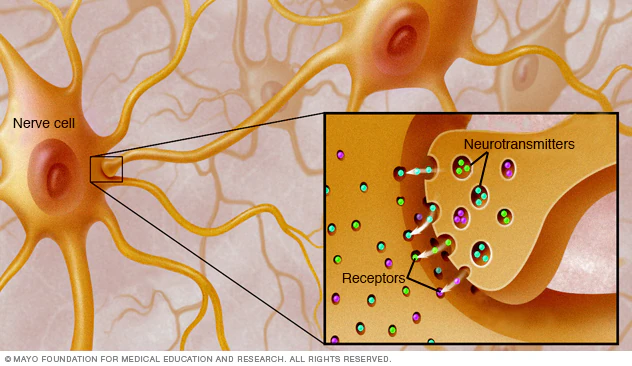 Myasthenia Gravis