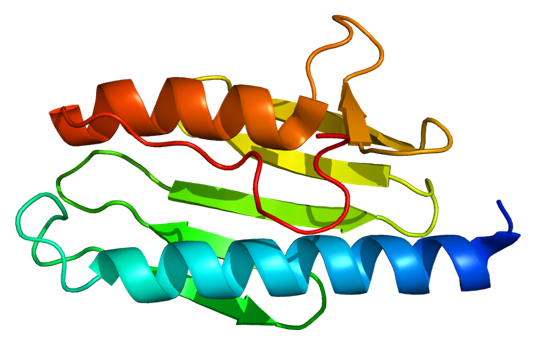 Friedreich’s  Ataxia